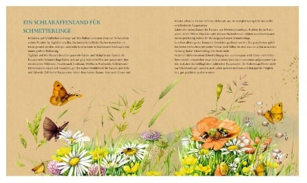 Inspirationen: Schmetterling, Hummel und Maikí¤fer - Ein Buch zum Entdecken und Staunen