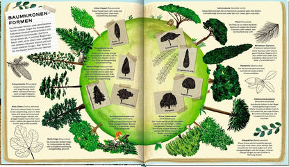 Die geheime Welt der Bäume - Ein Sachbilderbuch zum starken Thema Bäume