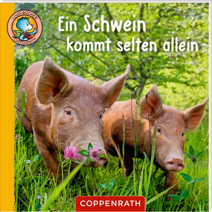 Linos Bauernhof-Bildergeschichten - 6 kleine Lino Buecher zur Auswahl