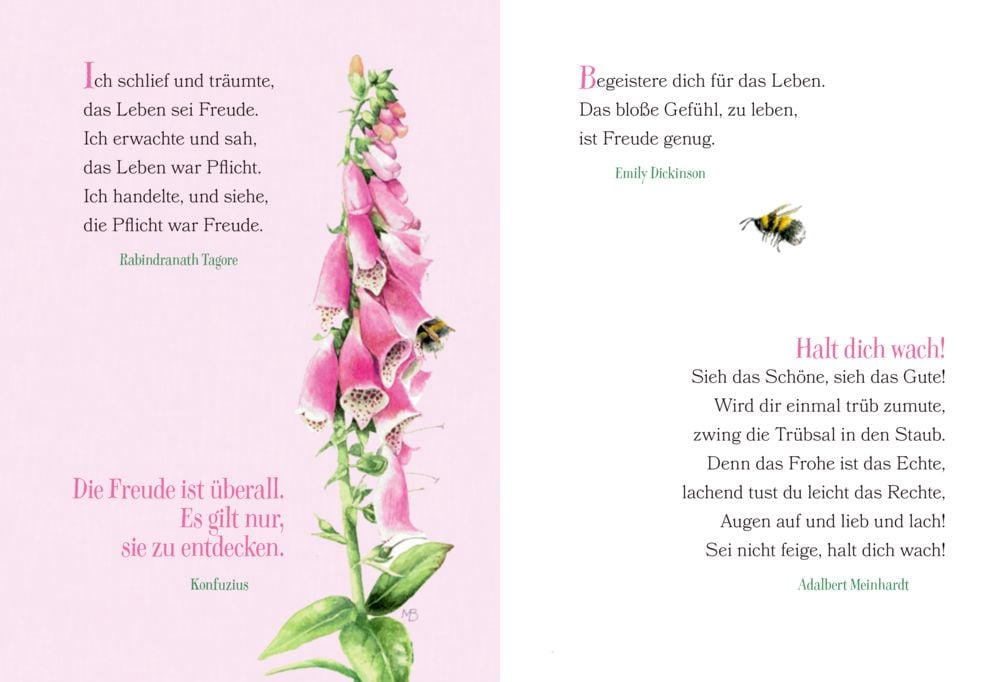 Librito Ich wünsch dir Gesundheit, Glück und Froh - Te deseo salud, felicidad y alegría - Textos en alemán