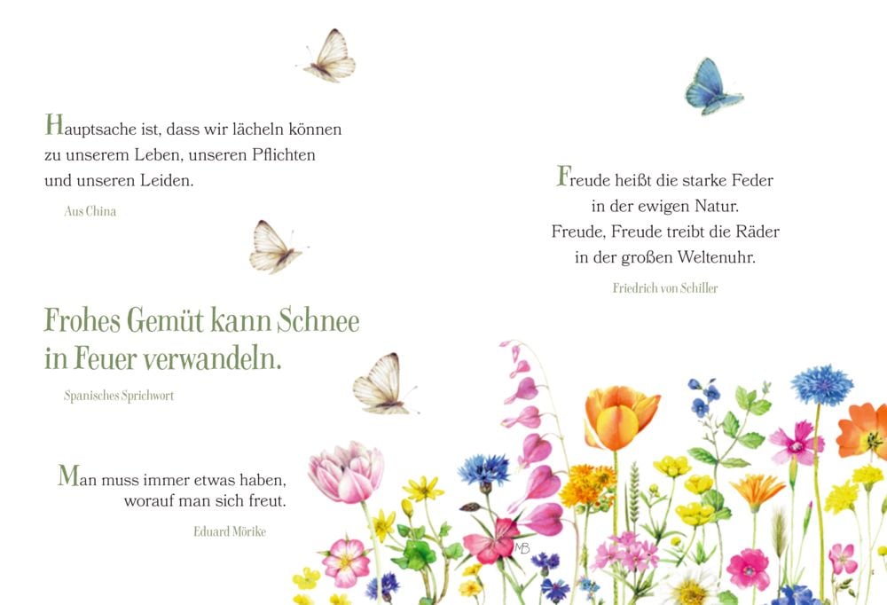 Librito Lächle und das Leben lächelt zurück - Sonríe y la vida te devolverá la sonrisa - Textos en alemán