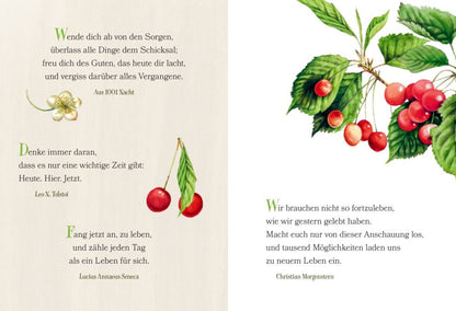 Librito  Jeder Tag ist ein Geschenk - Cada día es un regalo - Textos en alemán