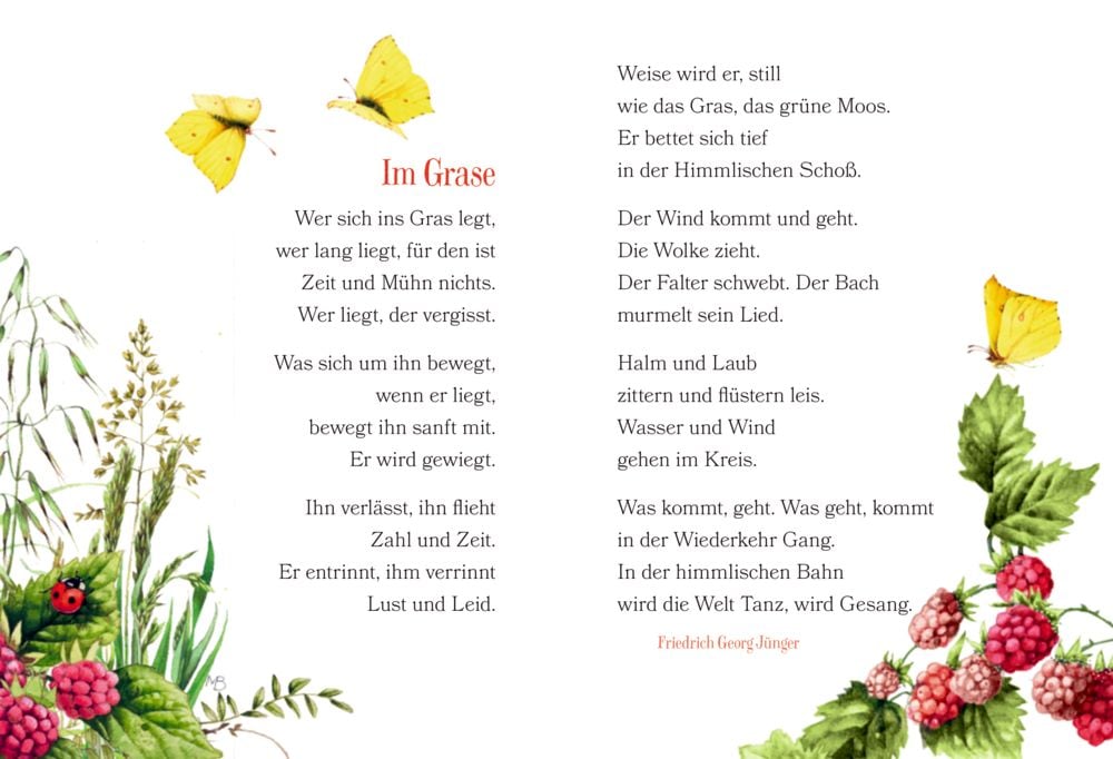 Librito Der Weg zum Glück führt durch den Garten - El camino a la felicidad pasa por el jardín - en alemán