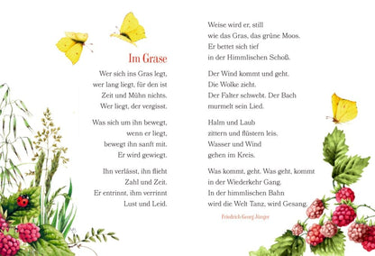 Librito Der Weg zum Glück führt durch den Garten - El camino a la felicidad pasa por el jardín - en alemán