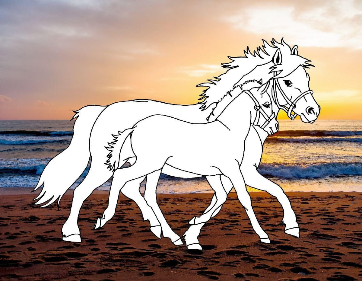 Colorea 24 caballos en playas de ensueno - para todos los amantes de los caballos