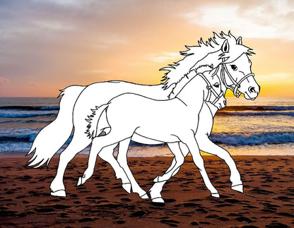 Colorea 24 caballos en playas de ensueno - para todos los amantes de los caballos