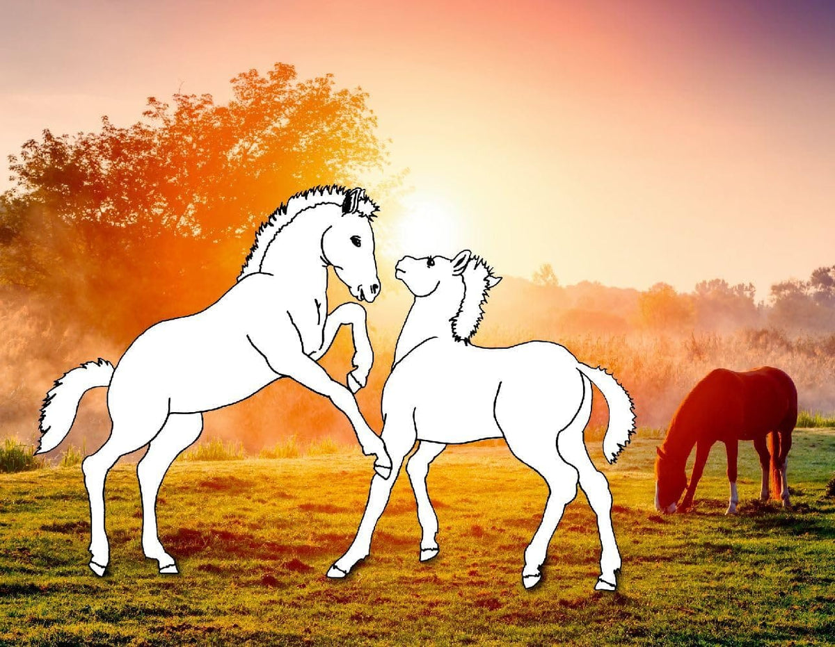 Colorea 24 caballos en paisajes de ensueno - para todos los amantes de los caballos