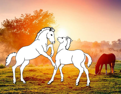 Colorea 24 caballos en paisajes de ensueno - para todos los amantes de los caballos