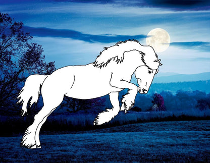 Colorea 24 caballos en paisajes de ensueno - para todos los amantes de los caballos