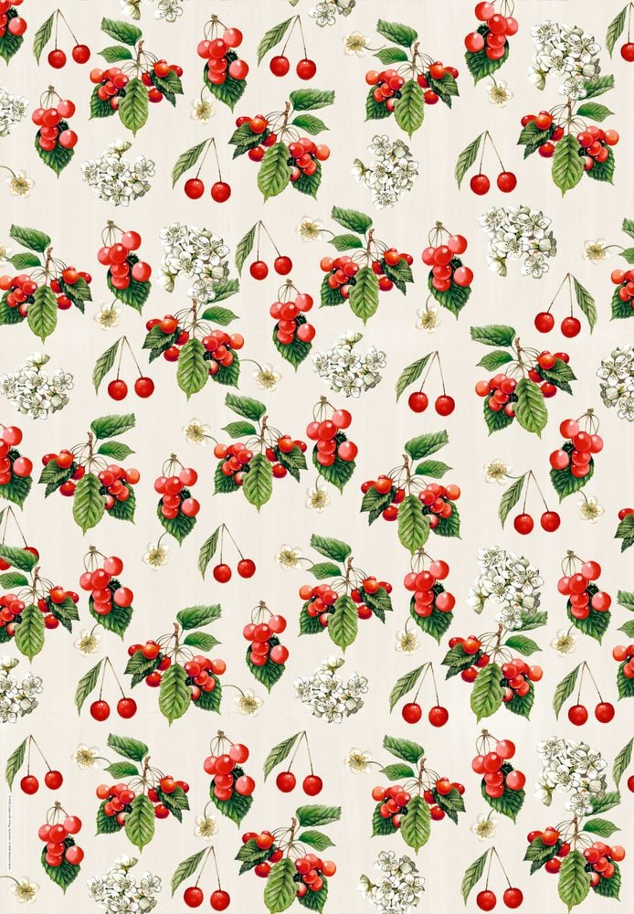 Libro de papel de regalo: Regalar bonito - Jardín de campo con 10 hojas de papeles grandes
