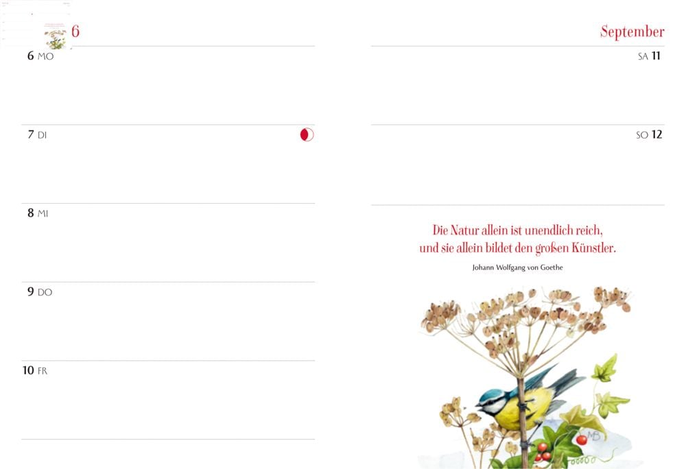 Encantador calendario semanal - Mi ano 2027 - textos en alemán